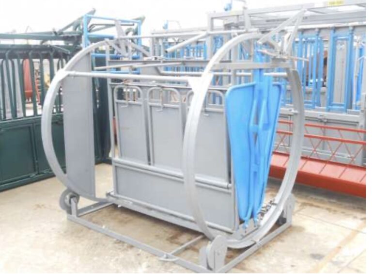 Imagen 17 09 25 a las 11.00 a.m 768x565